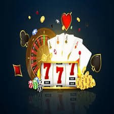 ipl win